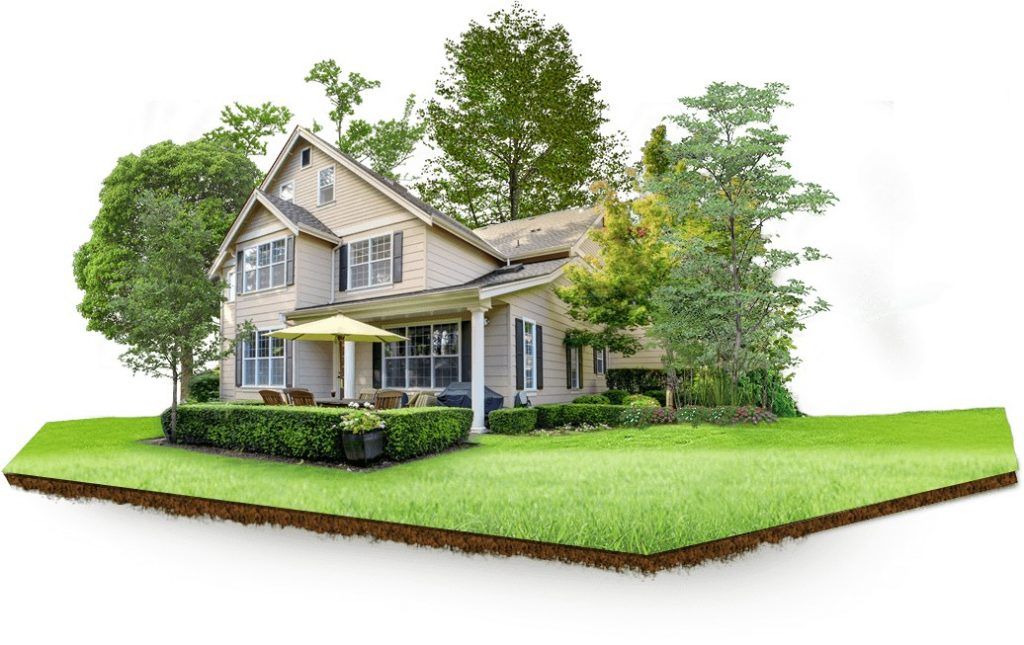 Investing in Farmland: A Smart Path to Stable Returns